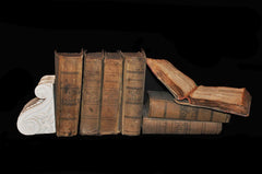 Turn of the Century Merchantile Ledgers